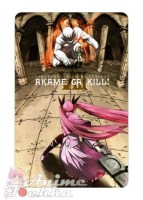 Akame ga kill 24